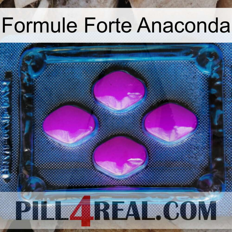 Anaconda Strong Formula 04